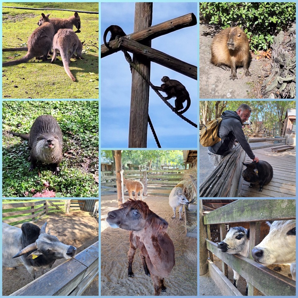 Neuseeland - Christchurch - 