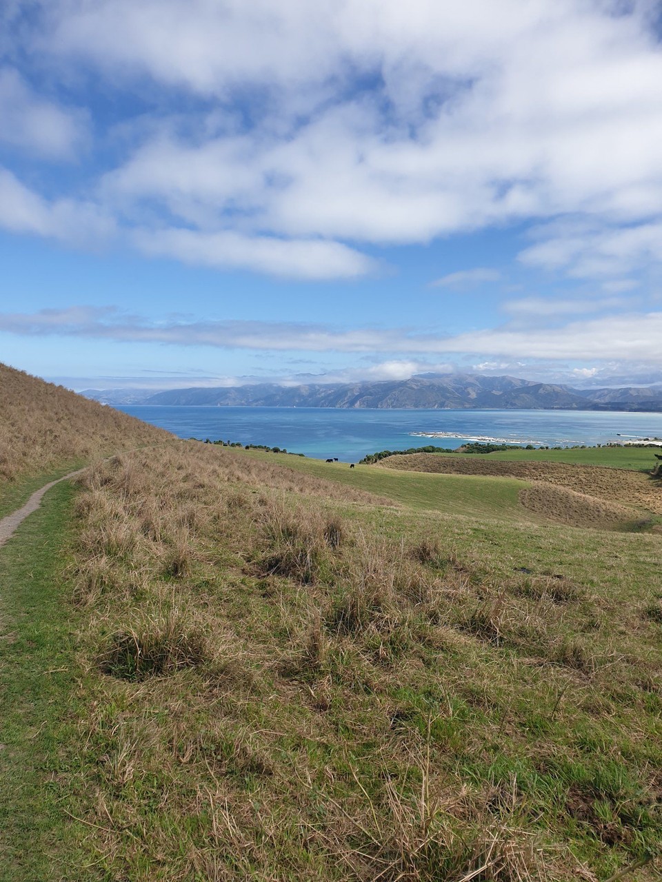 Neuseeland - Kaikoura - 