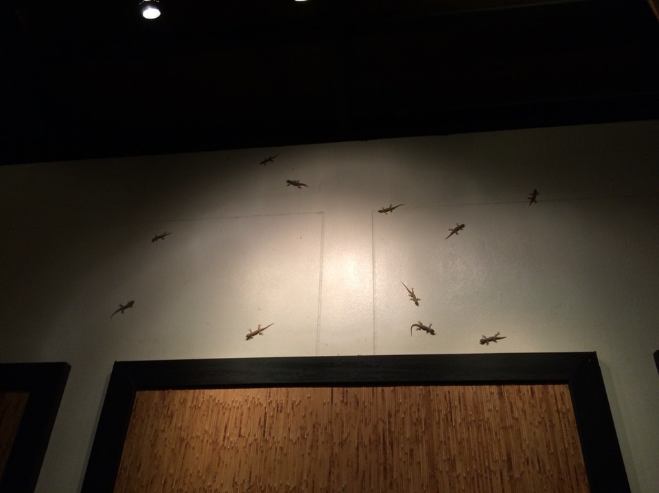 Thailand - Khao Lak Blue Lagoon Resort - Geckos