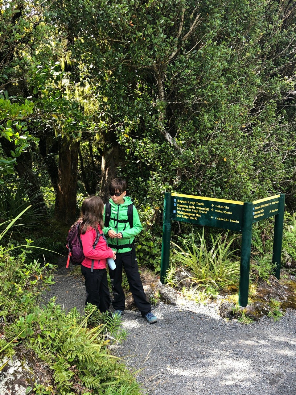 Neuseeland - Taranaki - Bereit für die erste Wanderung, den "Kapuni Loop Track" 