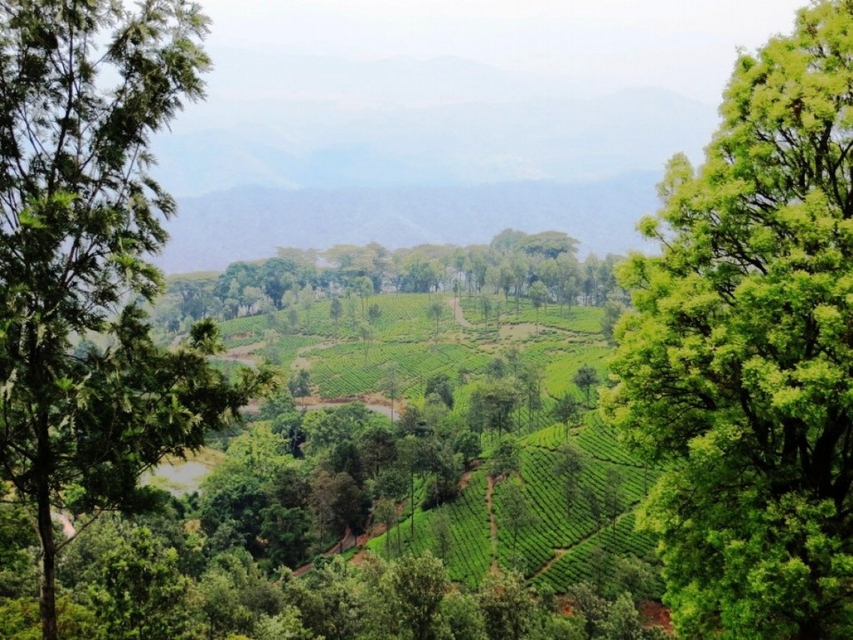 Indien - Coonoor - 