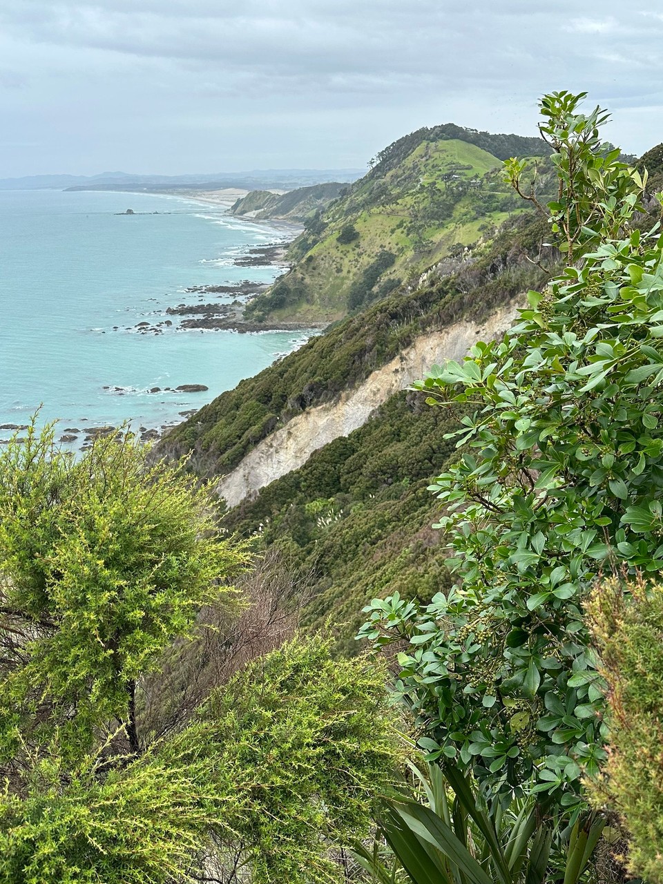Neuseeland - Mangawhai - 