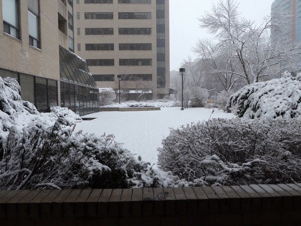 Canada - Calgary - Greeted by this view when leaving the building, going for coffee