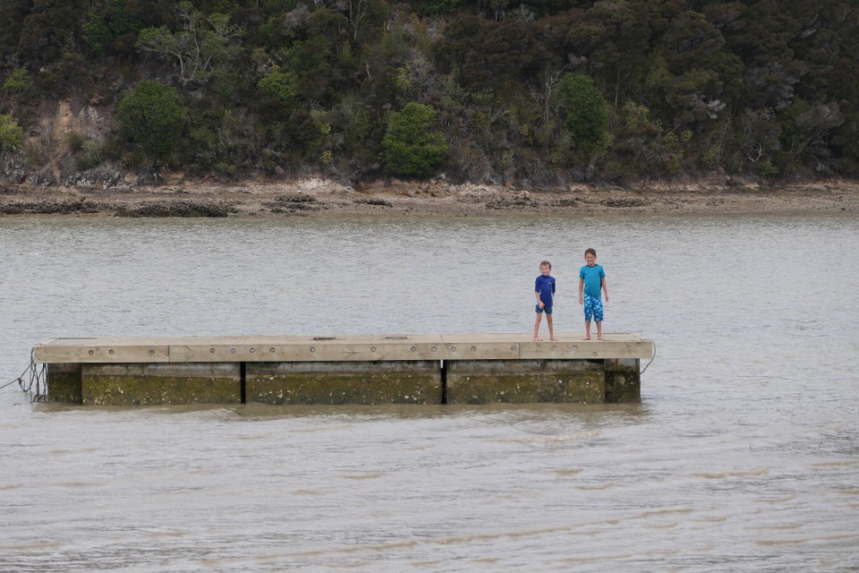 Neuseeland - Paihia - Ebbe: Durch den Schlamm aufs Floss