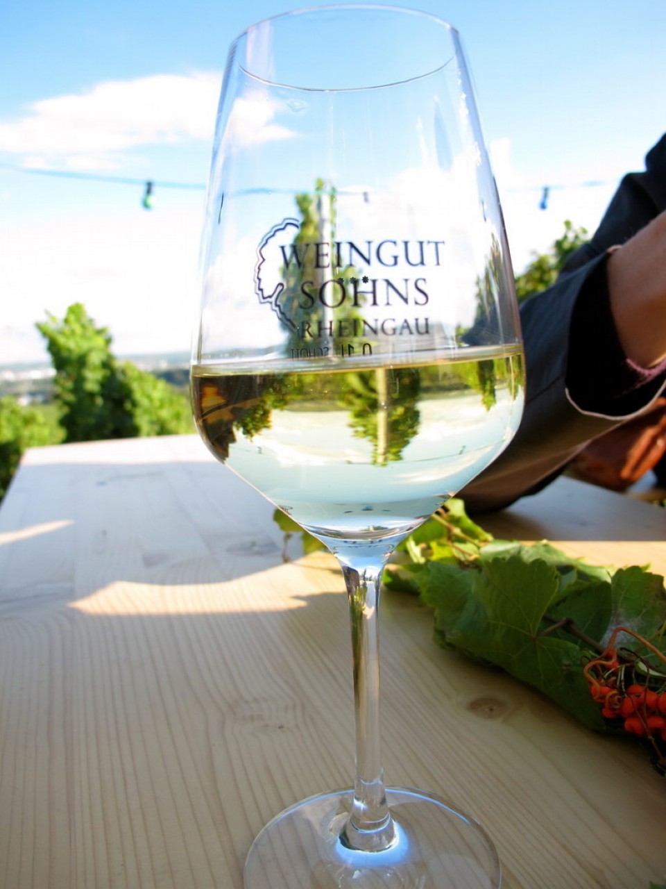 Deutschland - Geisenheim - 