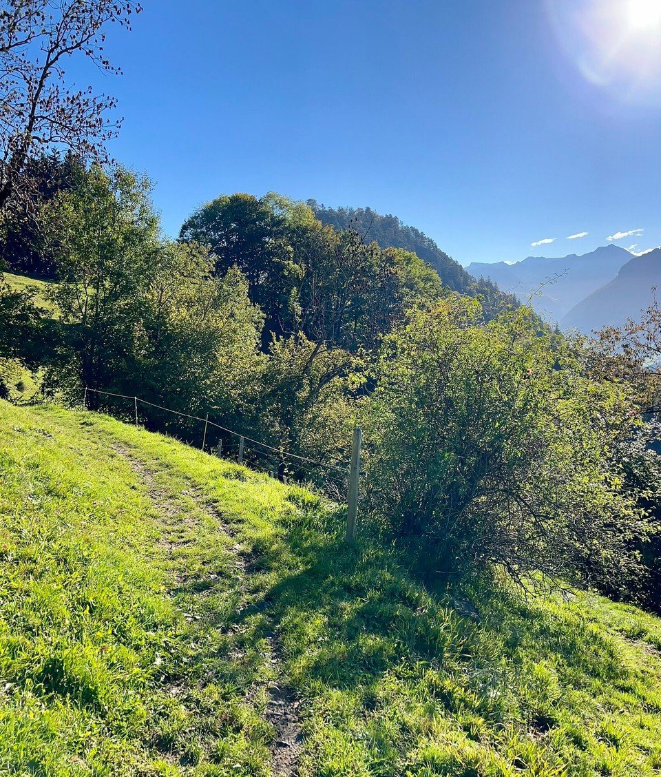 Schweiz - Alpnach Dorf - 