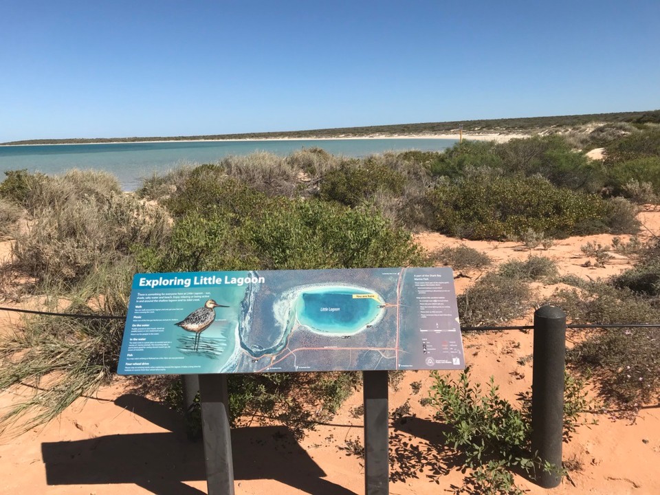 Australien - Denham - 
