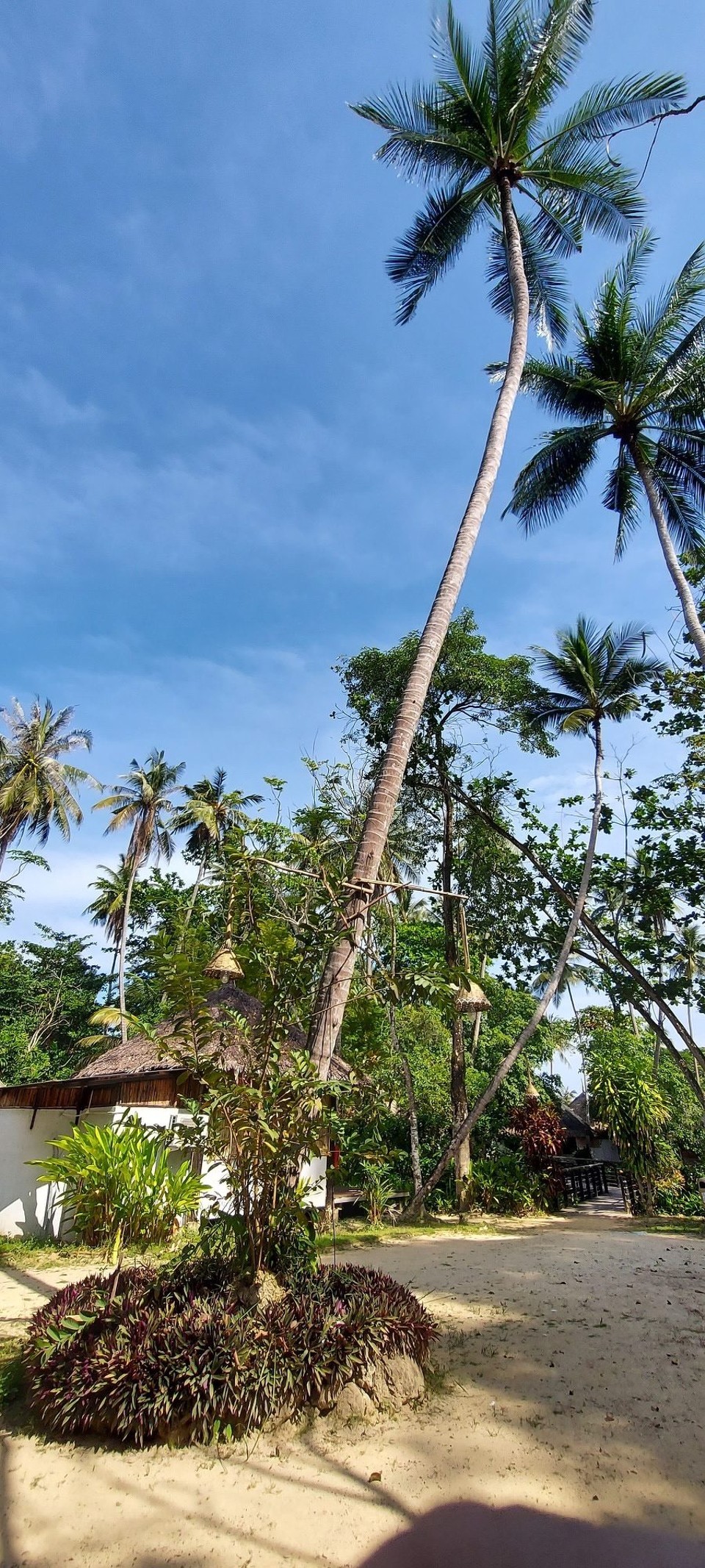 Thailand -  - 