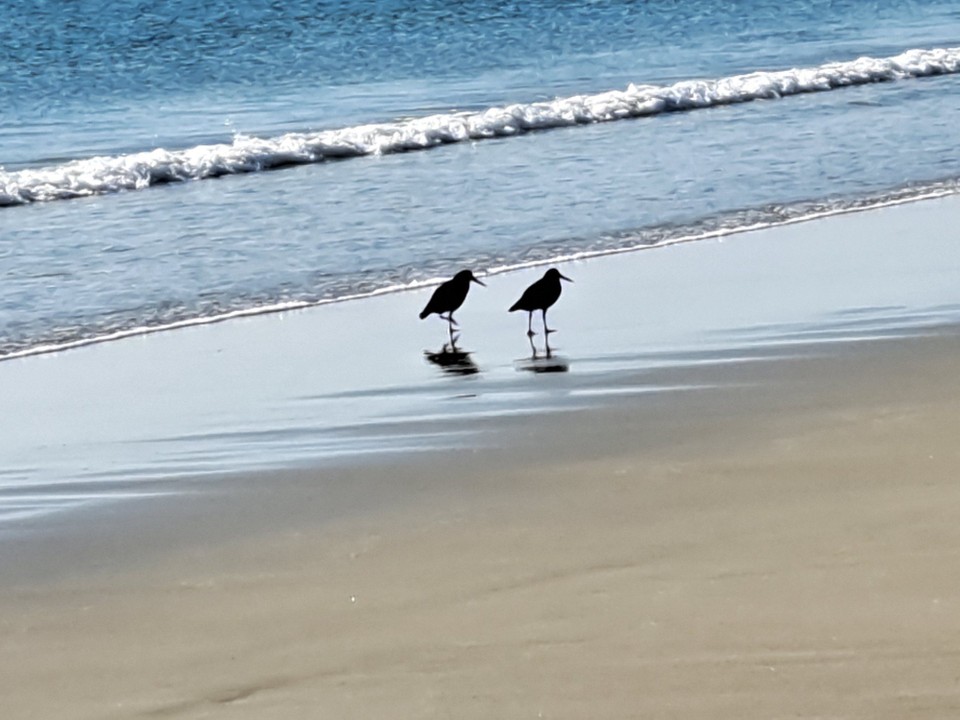 Neuseeland - Mangawhai - 