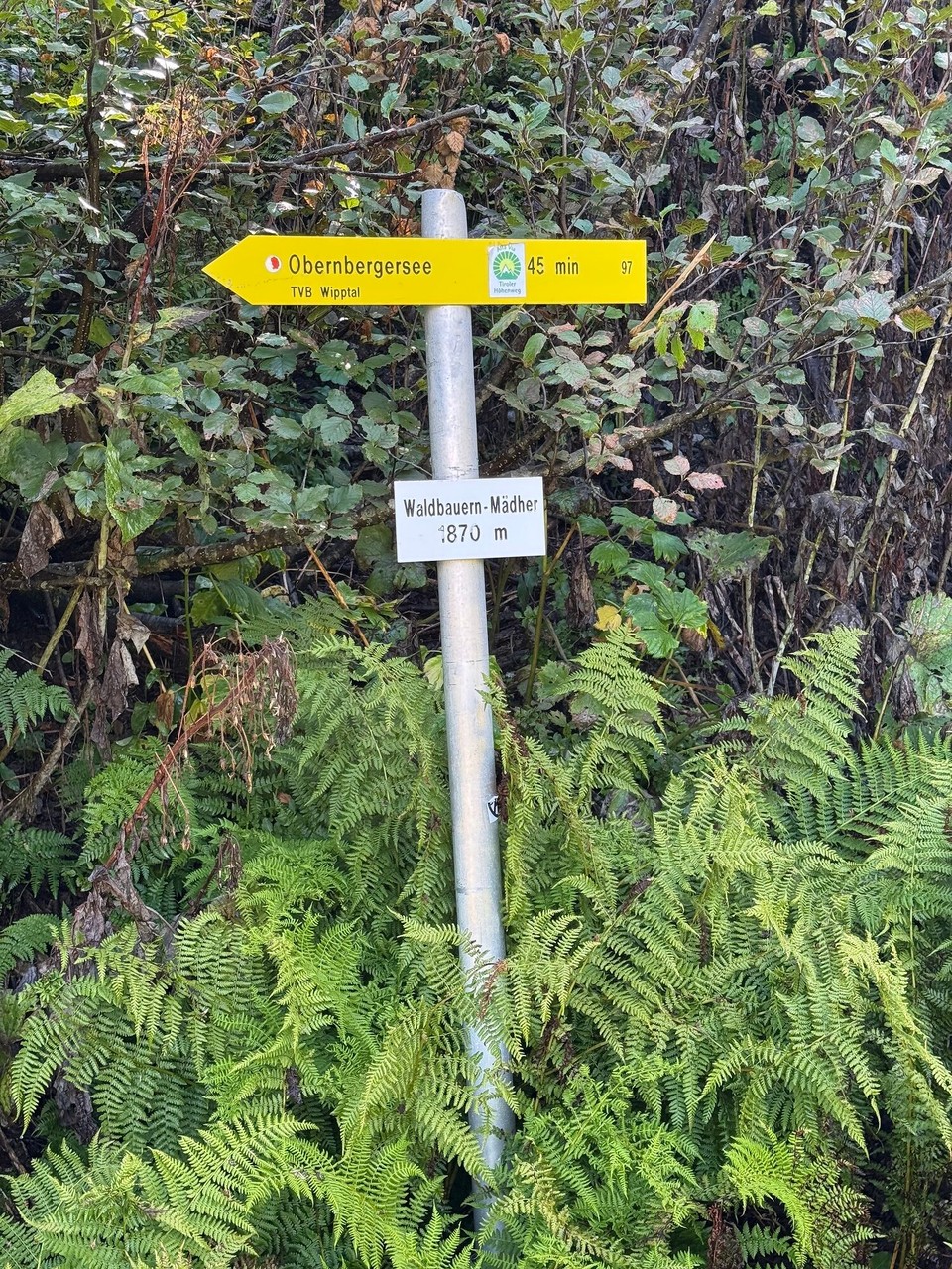 Österreich - Obernberg am Brenner - 