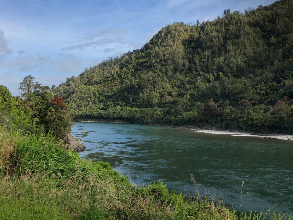 Neuseeland - Motueka - Hinter Westport führt die Strasse dem Buller river entlang. 