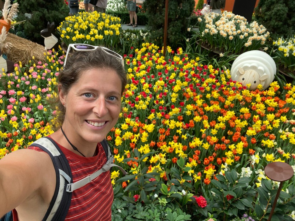 Singapur - Singapur - 