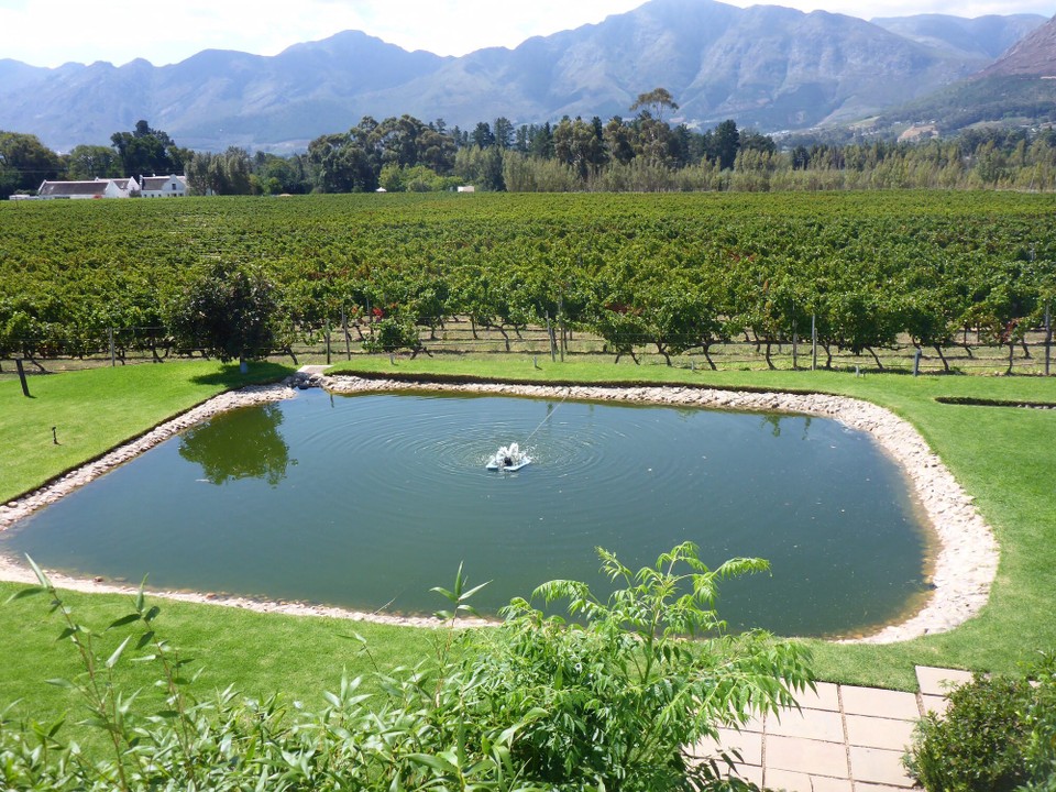 Südafrika - Stellenbosch - 