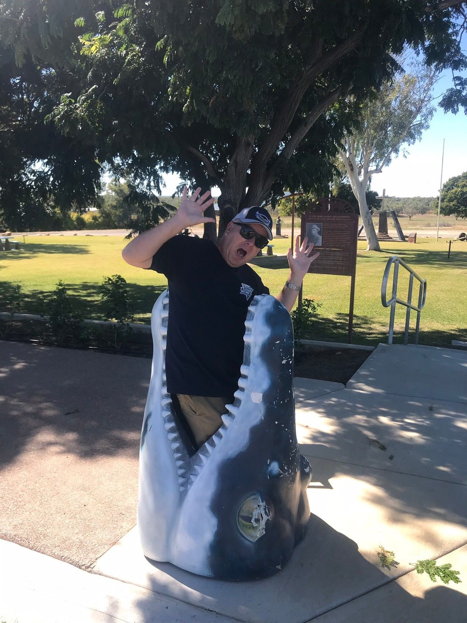 Australia - Richmond - Another rare stevahideasauraus !