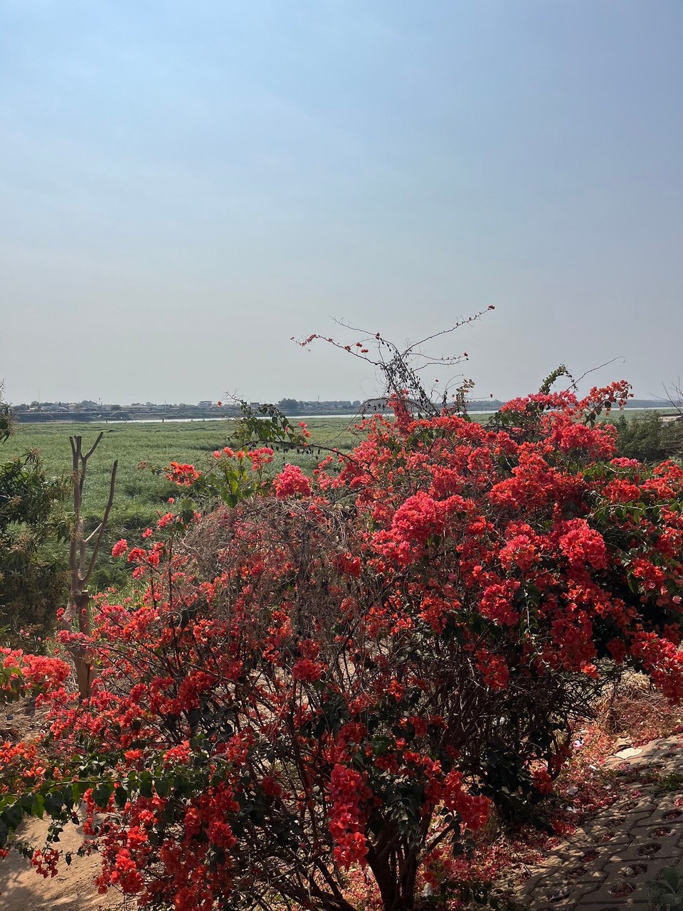 Laos - Vientiane - One of the only views from my 5k walk 
