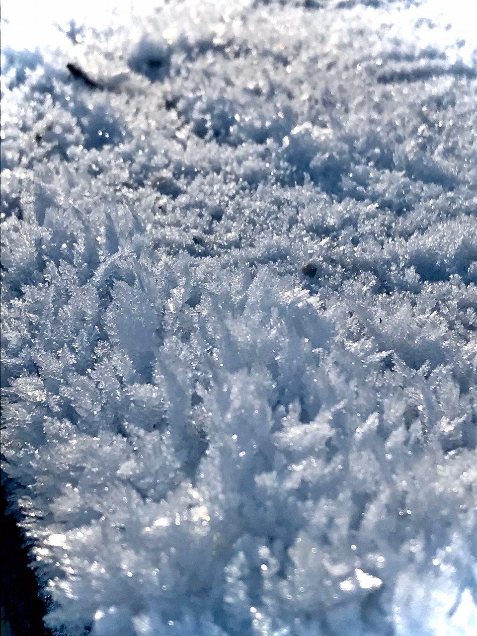 Slowenien - Bled - Snow | Winter Hike 