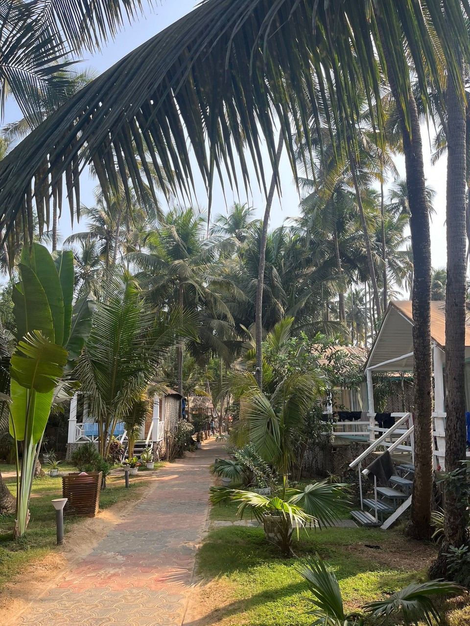 Indien - Canacona - „Beachfront Bliss“