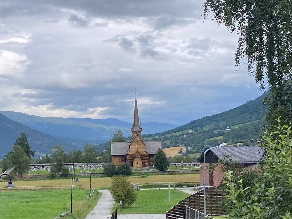 Norwegen - Geiranger - Kurz vor „Lau“ mitten in der Zivilisation- unser erster Elch! Leider weit weg und viel zu kurz um die Lamera heraus zu holen. 