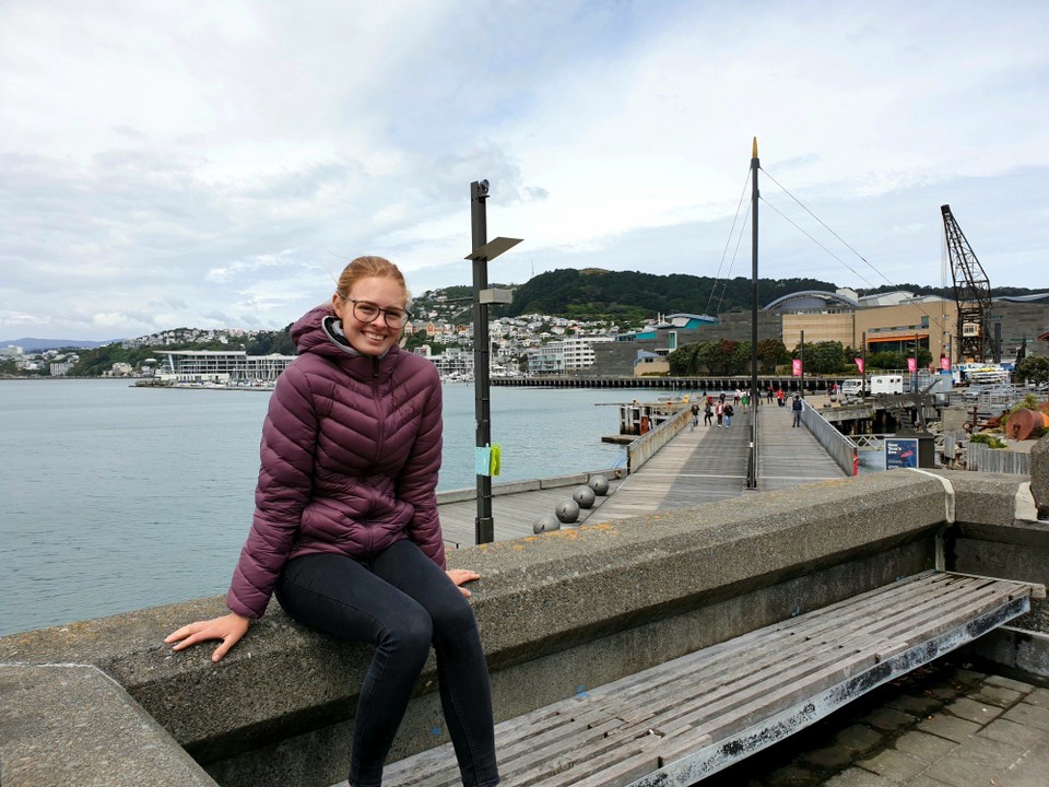 Neuseeland - Kaikoura - Stadtbesichtigung in Wellington