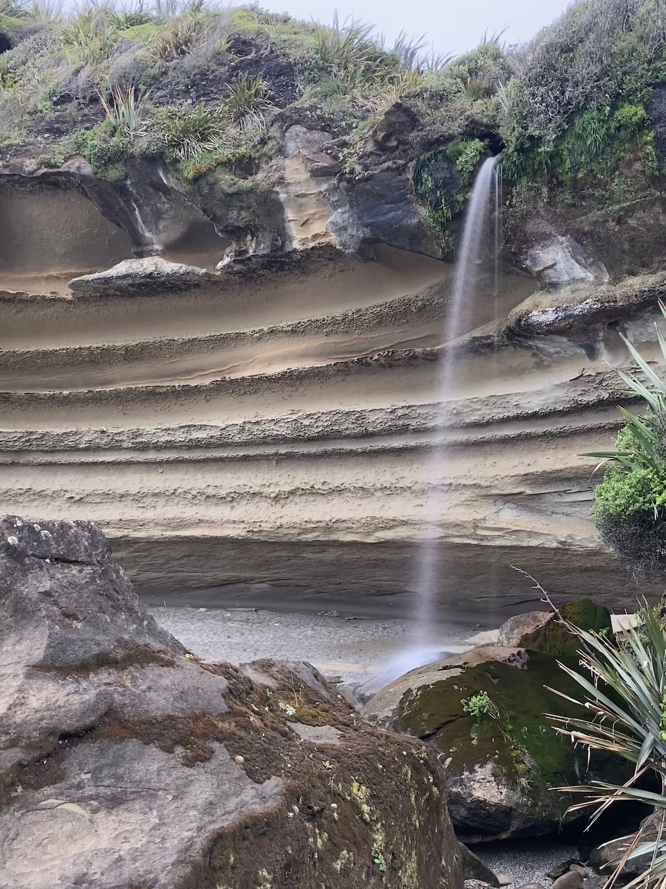 Neuseeland - Paparoa National Park - 