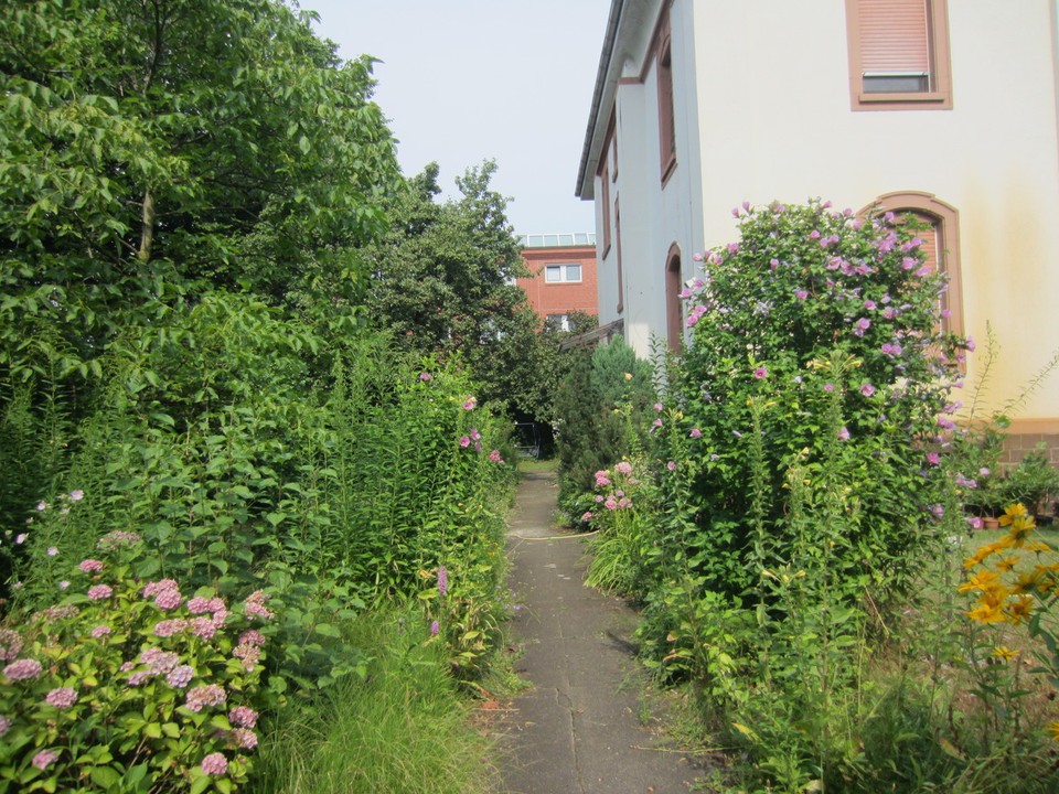 Deutschland - Mannheim - -  Da müßte mal wieder der Gärtner was tun!!!