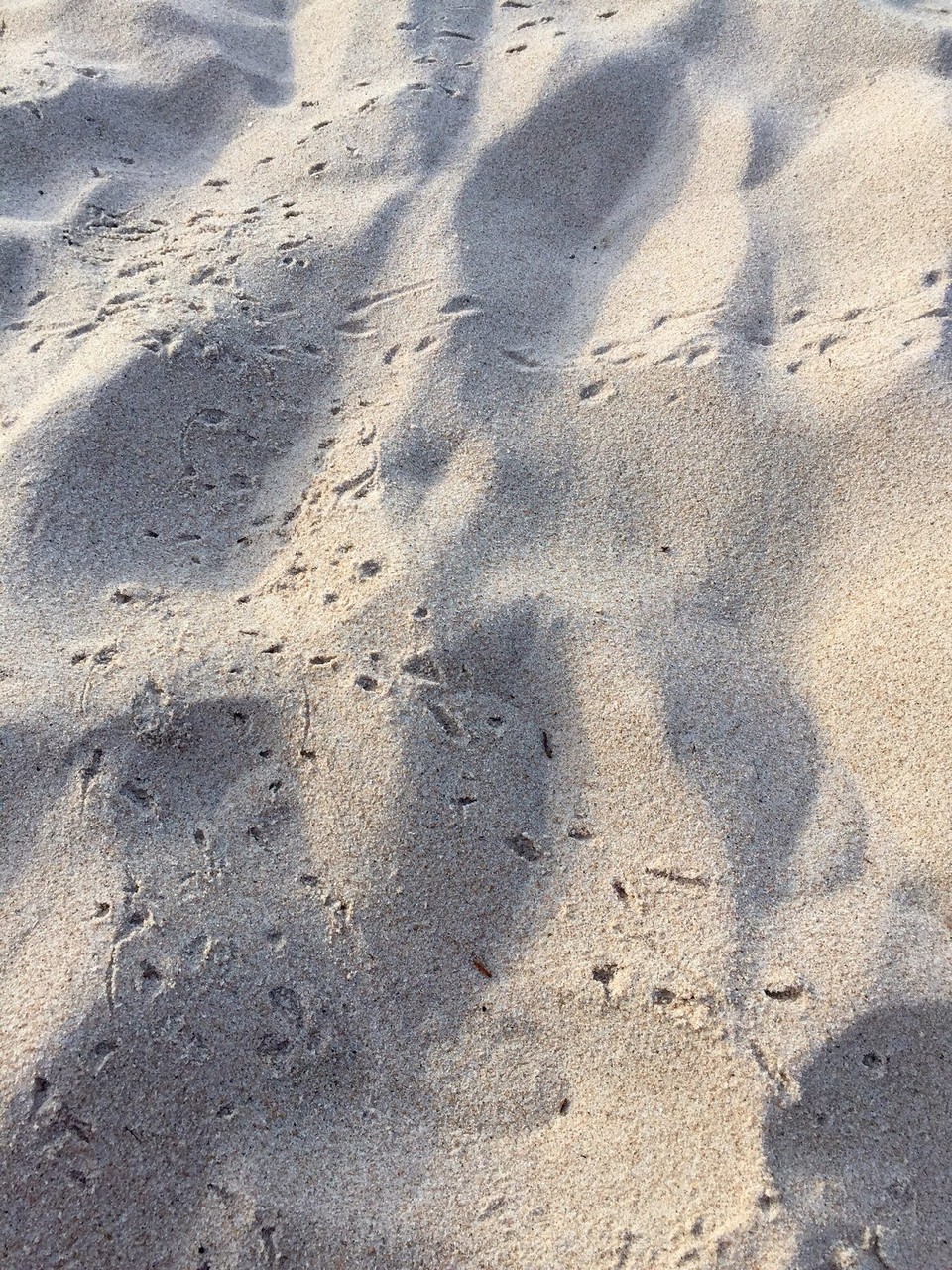 Brasilien - Praia do Flamengo - Spuren der kleinen Schildkröten 🐢 