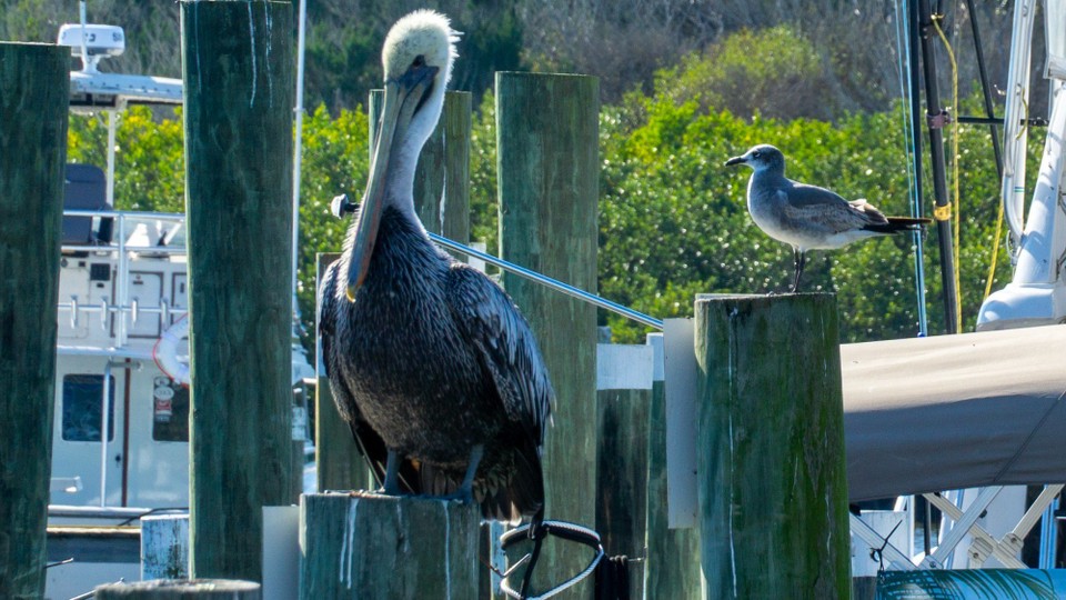 USA - Daytona Beach - 