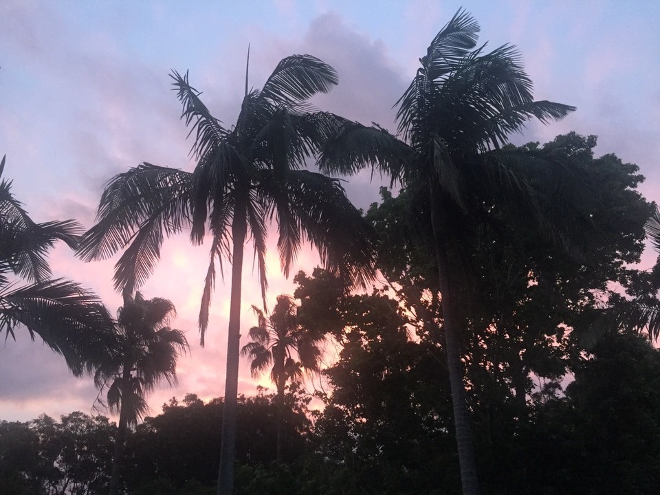  - Australia, Nambucca Heads Tourist Park - 