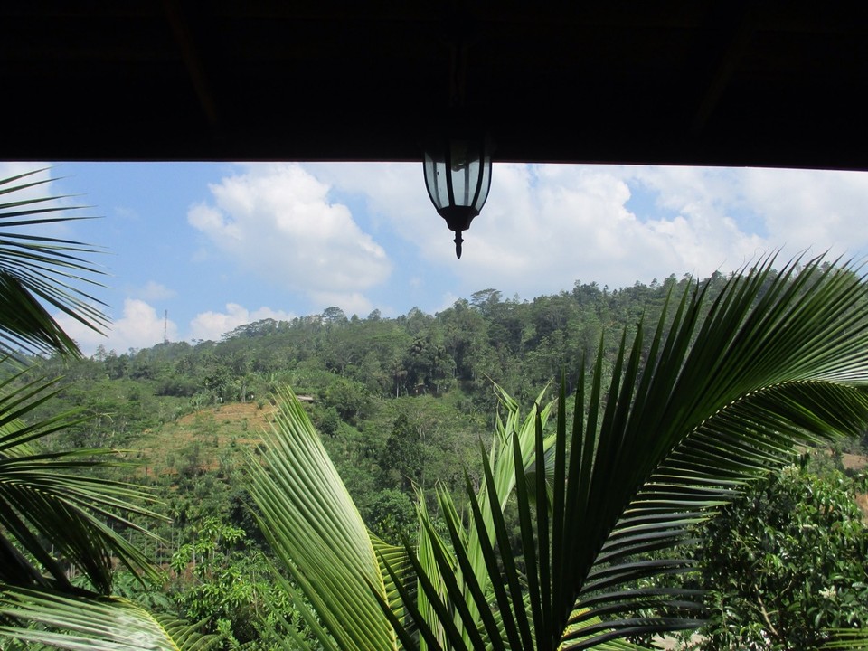 Sri Lanka - Deniyaya - 