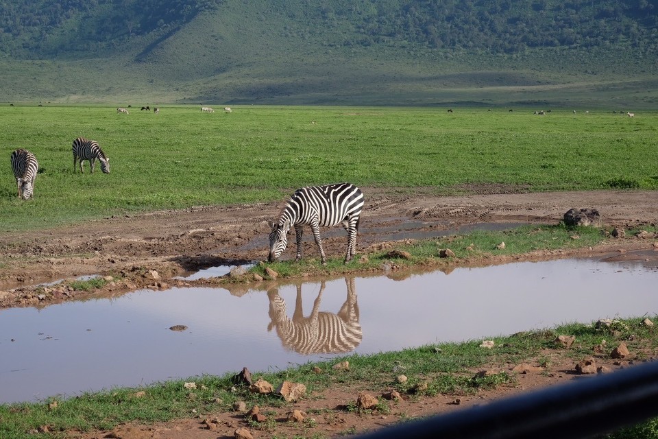  - Schutzgebiet Ngorongoro - 