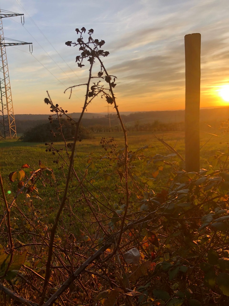 Deutschland - Ludwigshafen - Dilsberg