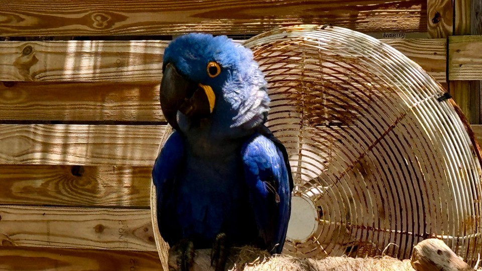 Vereinigte Staaten - Islamorada - 