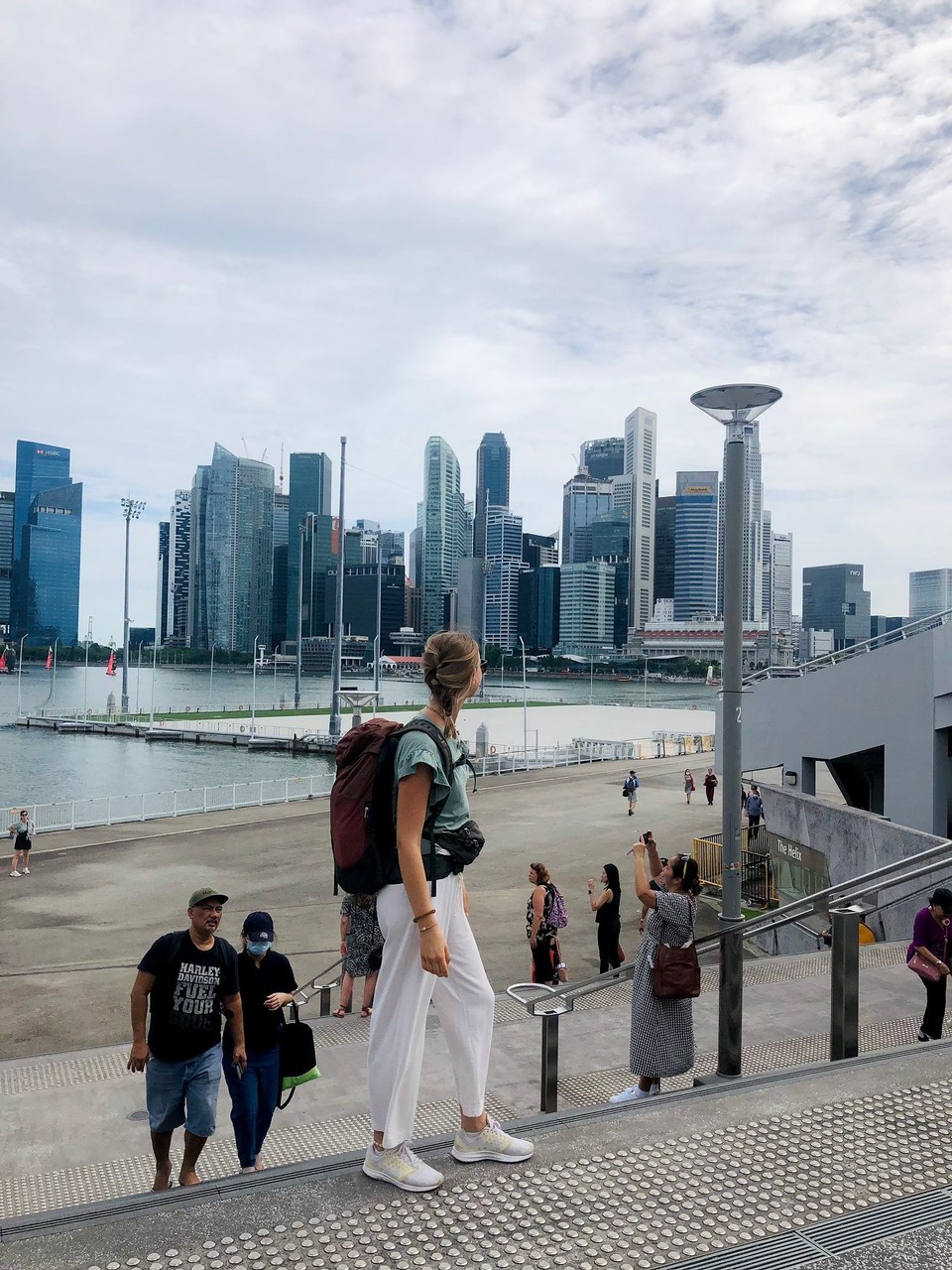 Singapur -  - Vor den Bürotürmen 🏙️