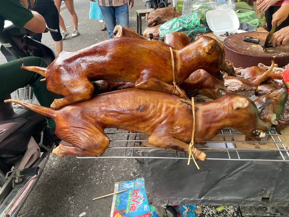 Vietnam - Hanoi - Darfs heute ein Stück Hund sein? 🫣