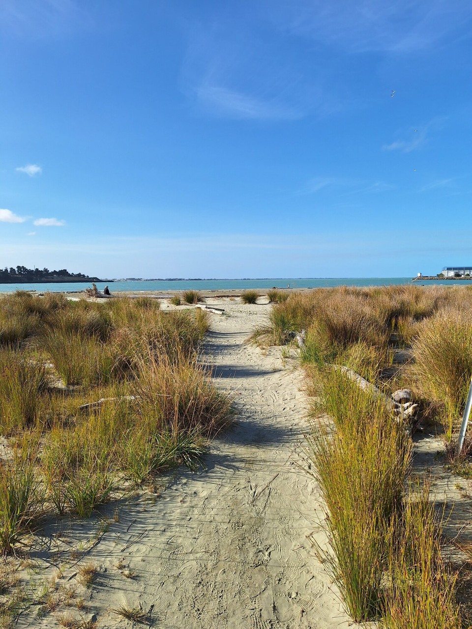 Neuseeland - Timaru - Strandzugänge