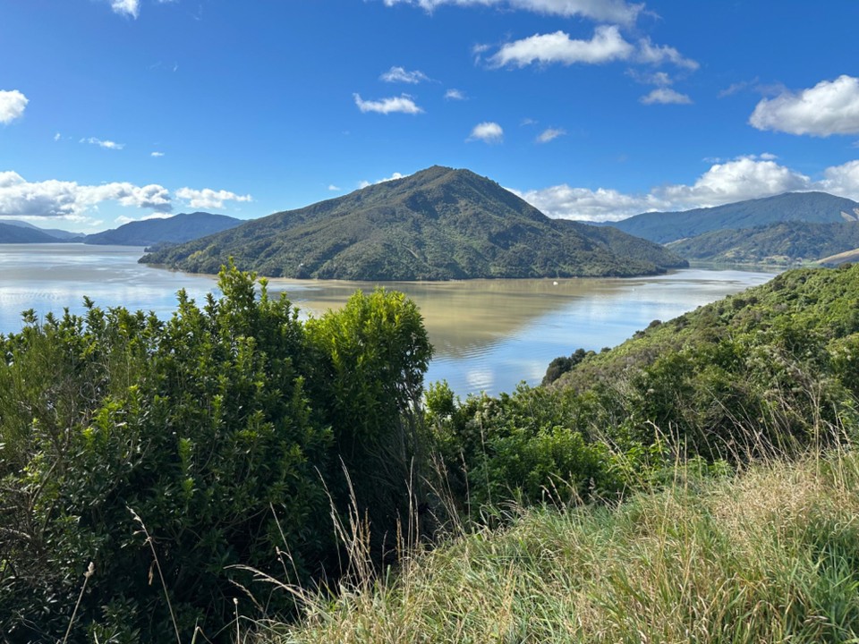 Neuseeland - Christchurch - Zuerst fahren wir nördlich bis Havelook 👀