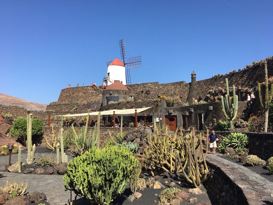  - Jardin de Cactus - Hier sind ca. 1400 Kakteenarten zu besichtigen. 