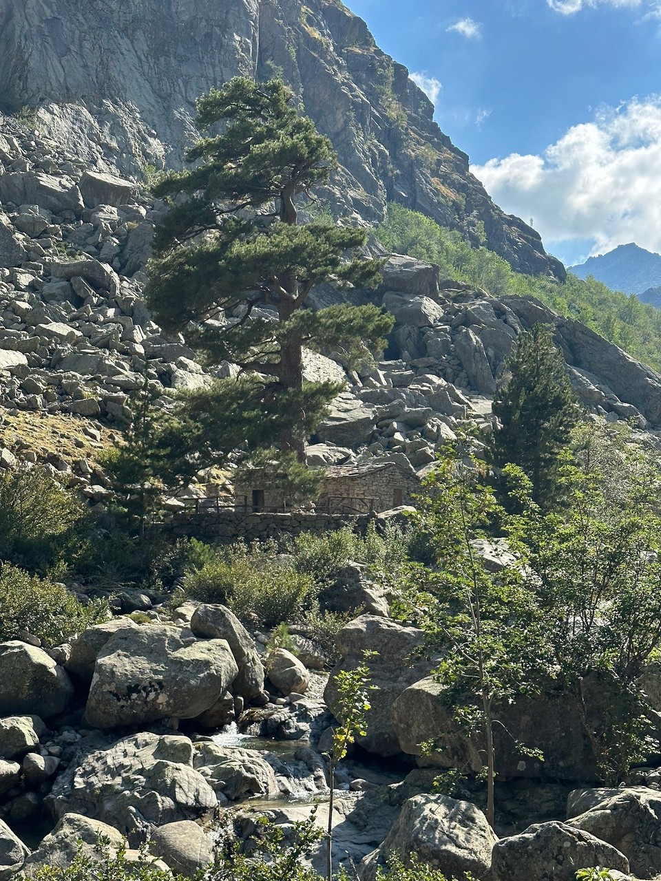 Frankreich - Corte - 