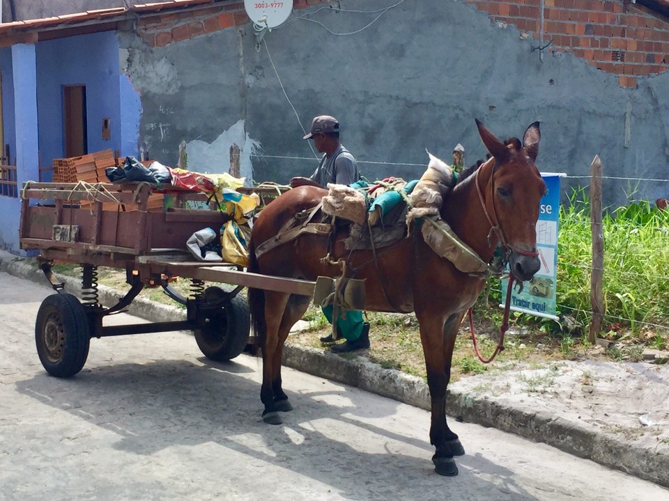 Brasilien - Cairu - Transportmittel keine Autos