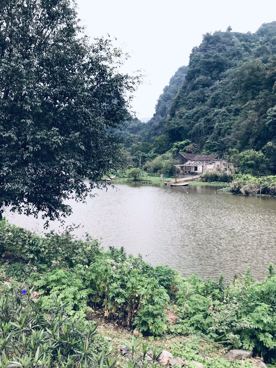 Vietnam - H. Hoa Lư - 