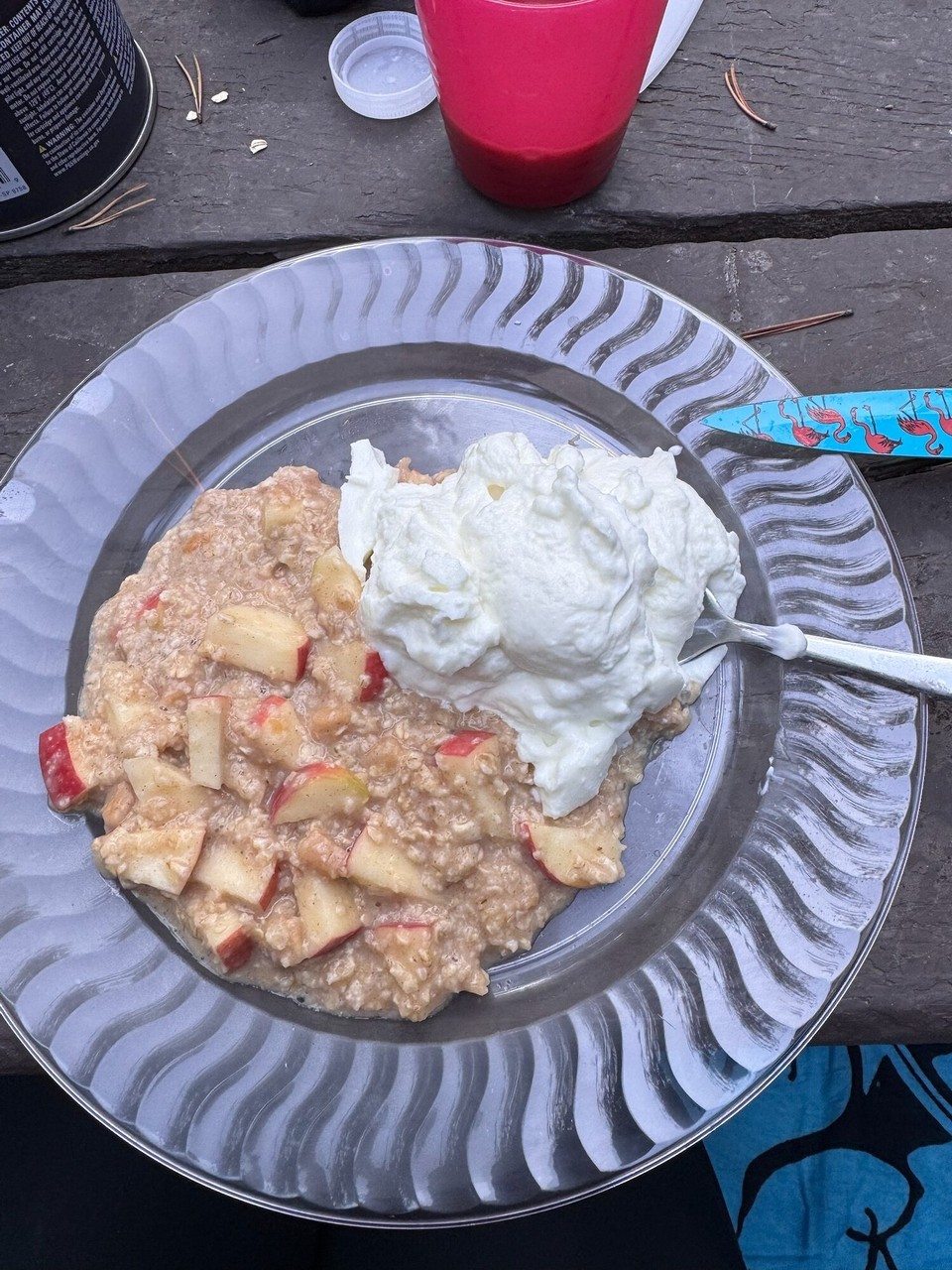 Vereinigte Staaten - Yellowstone National Park - S‘hötige Zmorge esch mega fein gsi. Es hed Apfel-Zimt Porridge geh mit Vanille-Jogurt.😋