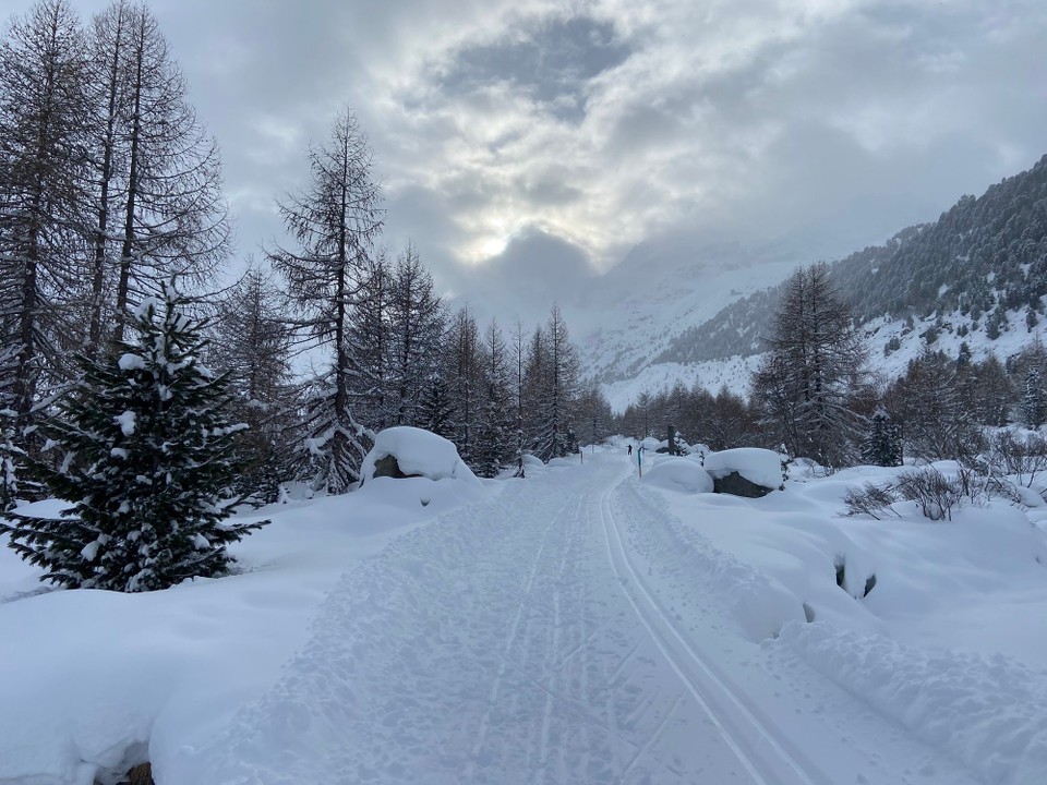 Schweiz - Pontresina - 