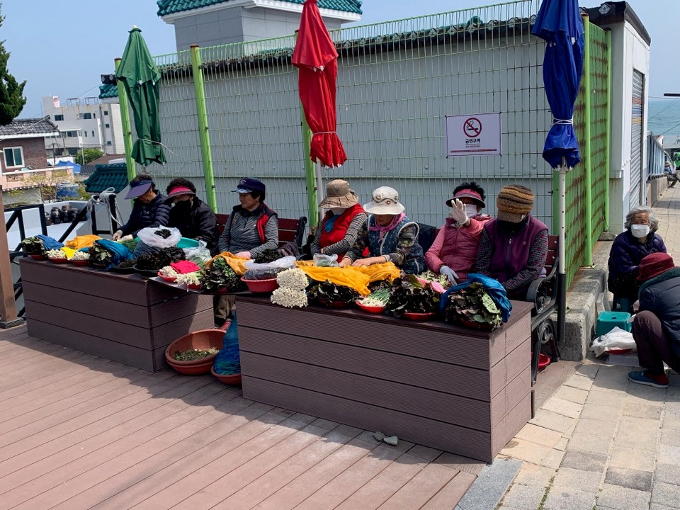 대한민국 - 부산광역시 - 