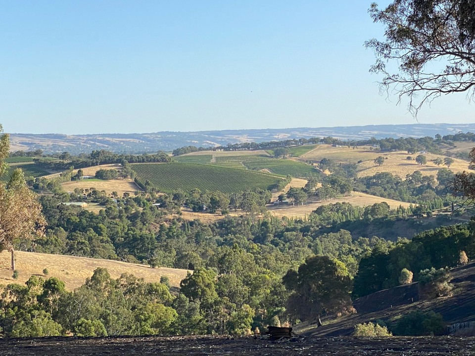 Australien - North Adelaide - auf der Rückfahrt von Adelaide durch das hügelige Landesinnere zu unserer Unterkunft im MacLaren Vale