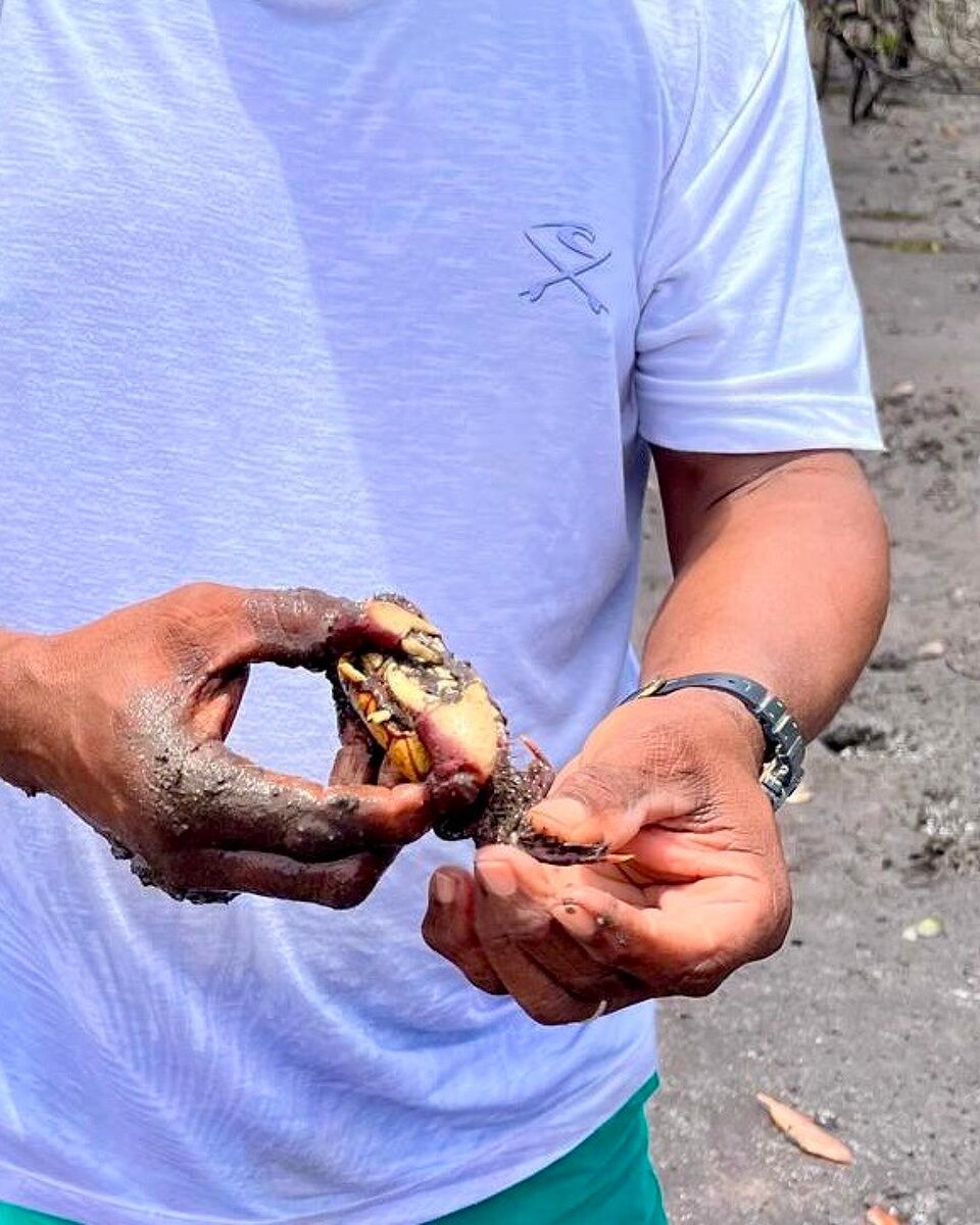 Brasilien - Cairu - Wo die Krebse leben