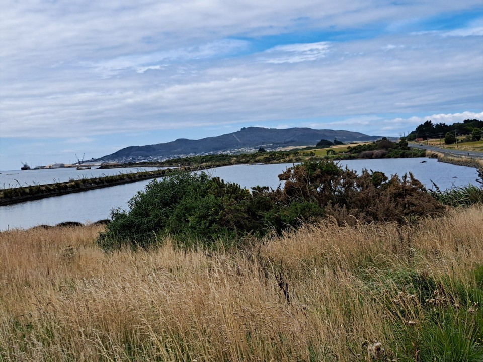 Neuseeland - Bluff - 