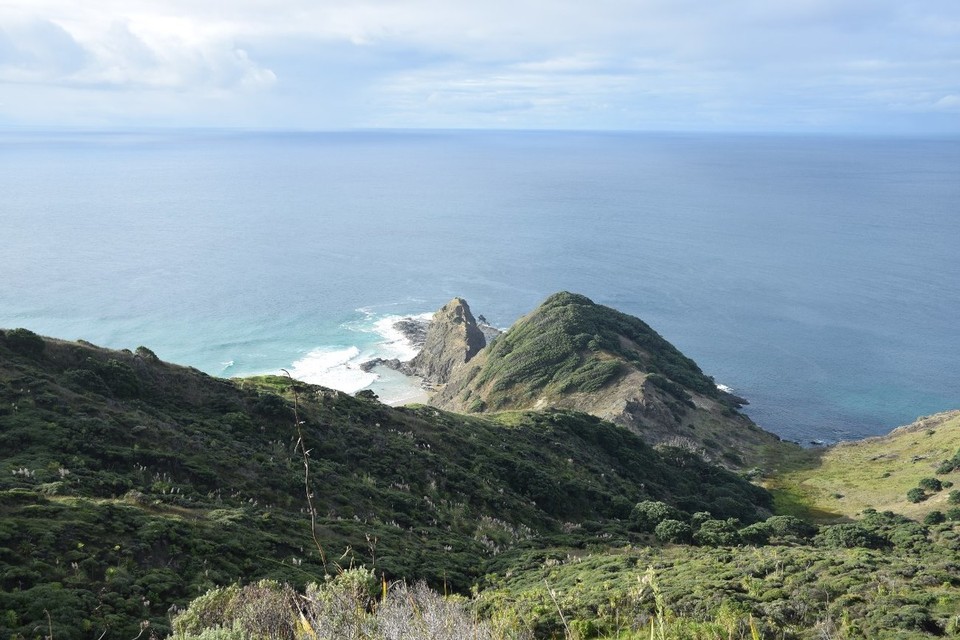 Neuseeland - Cape Reinga - Über diesen Landausläufer machen sich die Maori-Seelen dem Volksglauben nach auf den Weg in die Unterwelt