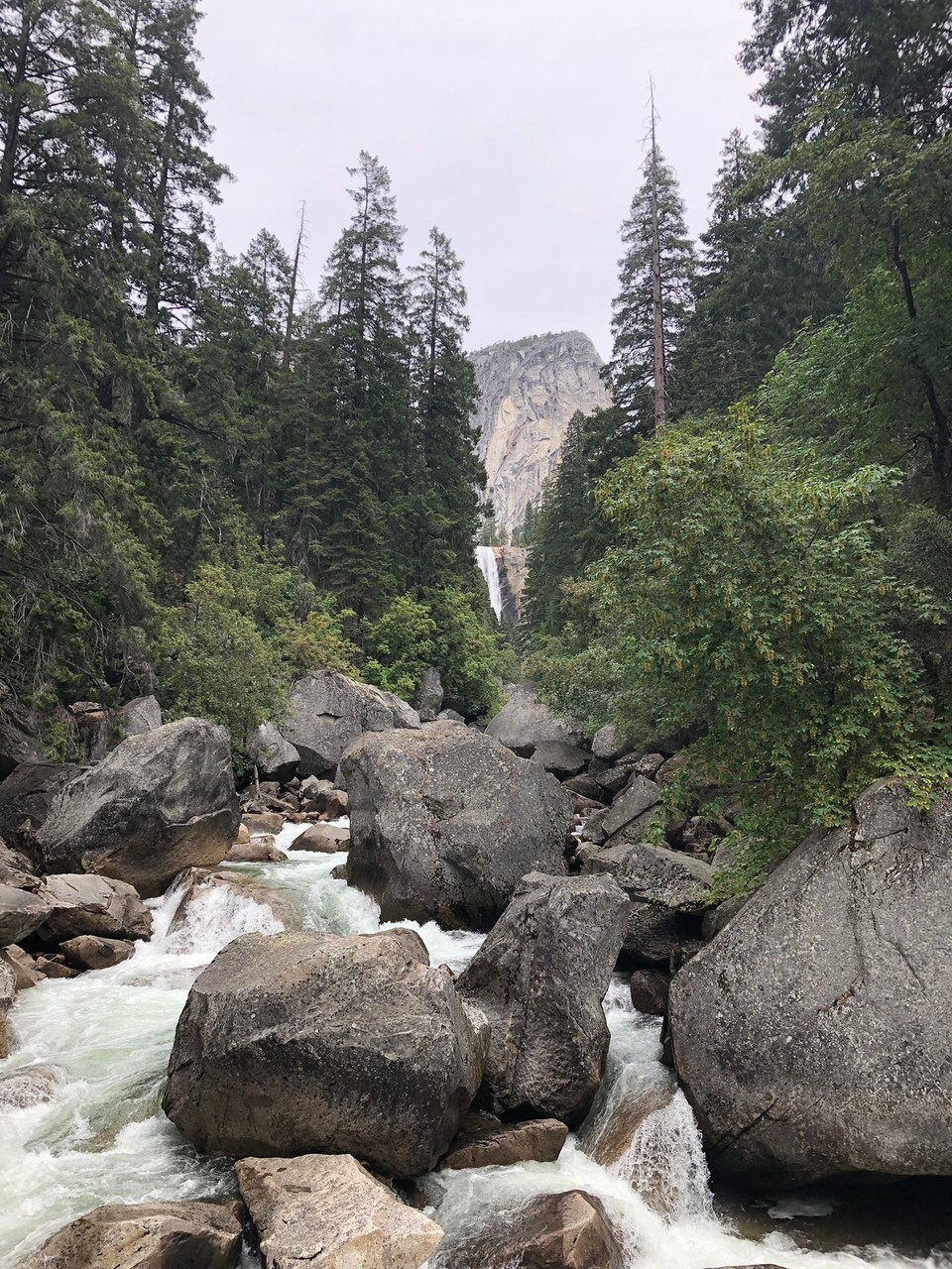 Vereinigte Staaten - Yosemite National Park - Dann ging es zu Fuß los ...
