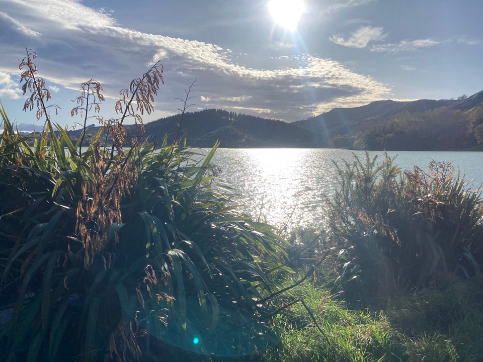 Neuseeland - Napier - Guten Morgen Sonnenschein, guten Morgen Lake Tutira 😎