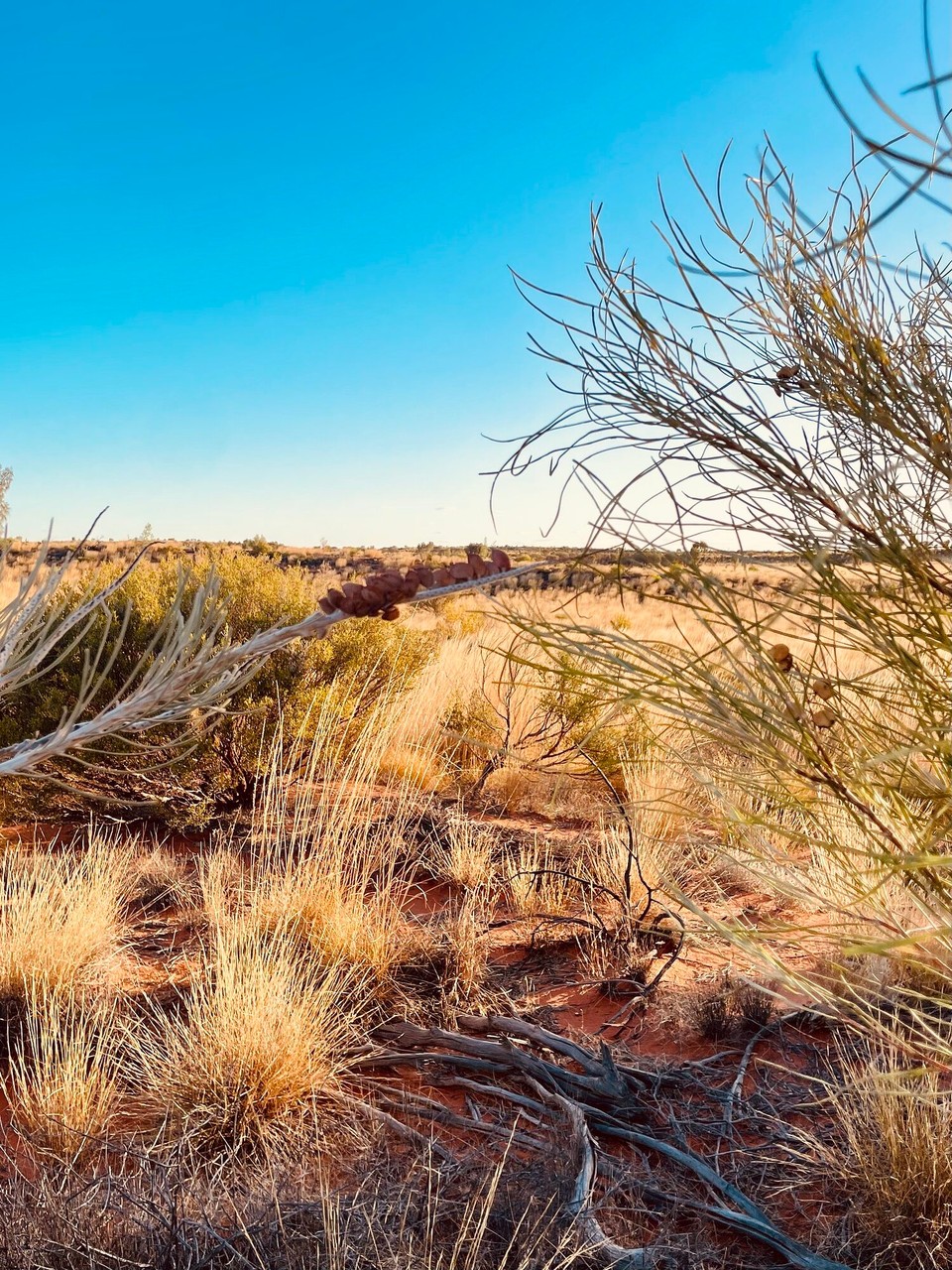 Australien - Yulara - 